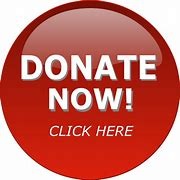 Donate with PayPal button